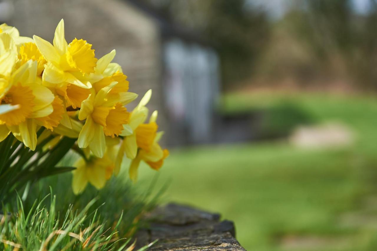 Penuwch Boathouse- Lakeside Rural Cottage Ideal For Families With Indoor Heated Pool Carmarthen Exterior foto